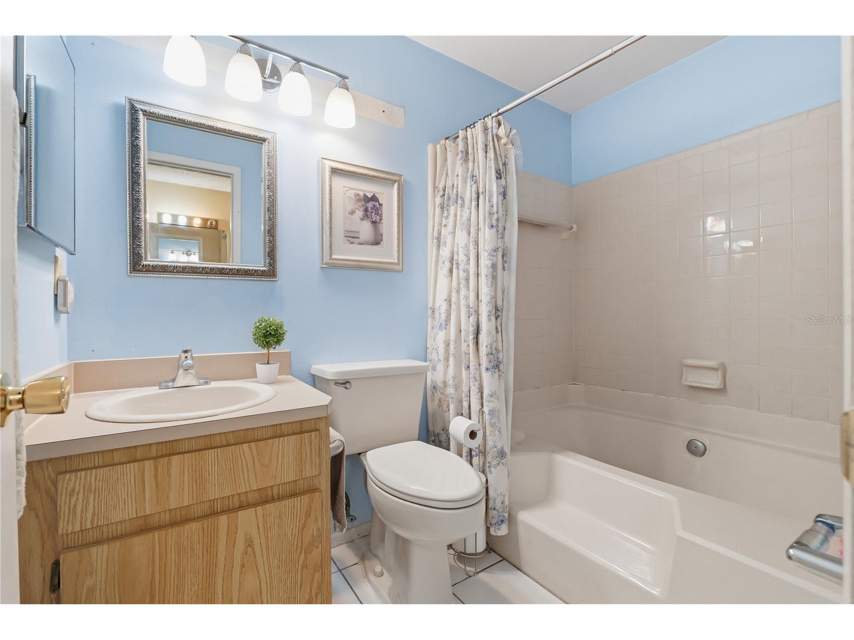 1723 Tarah Trace Drive Brandon FL 33510 TB8517974 image10