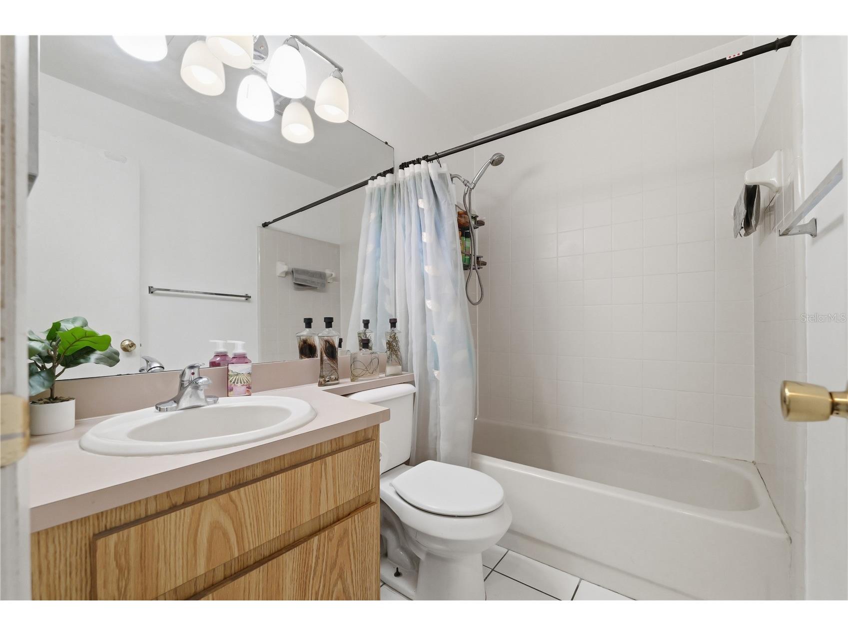1723 Tarah Trace Drive Brandon FL 33510 TB8517974 image18