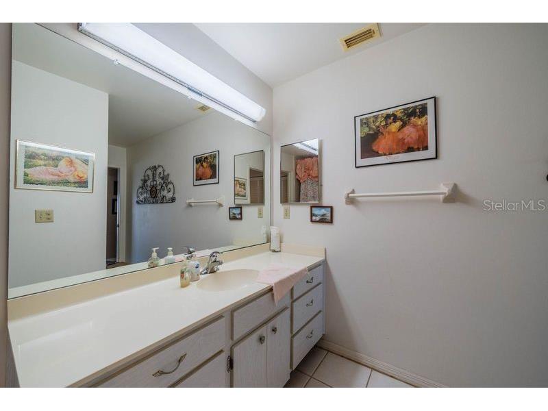 1723 Wolf Laurel Drive Sun City Center FL 33573 TB8473234 image25