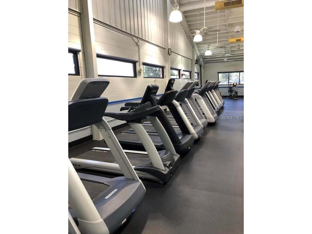 1723 Wolf Laurel Drive Sun City Center FL 33573 TB8473234 image40