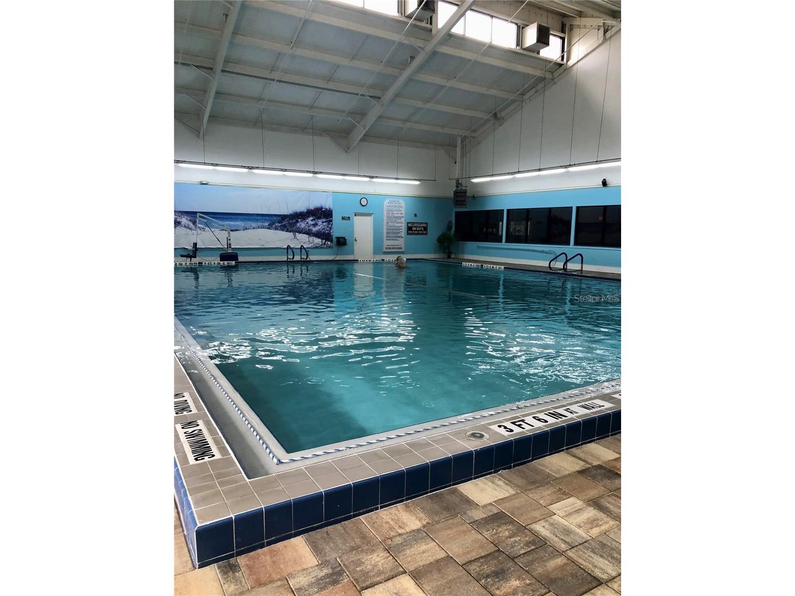 1723 Wolf Laurel Drive Sun City Center FL 33573 TB8473234 image50