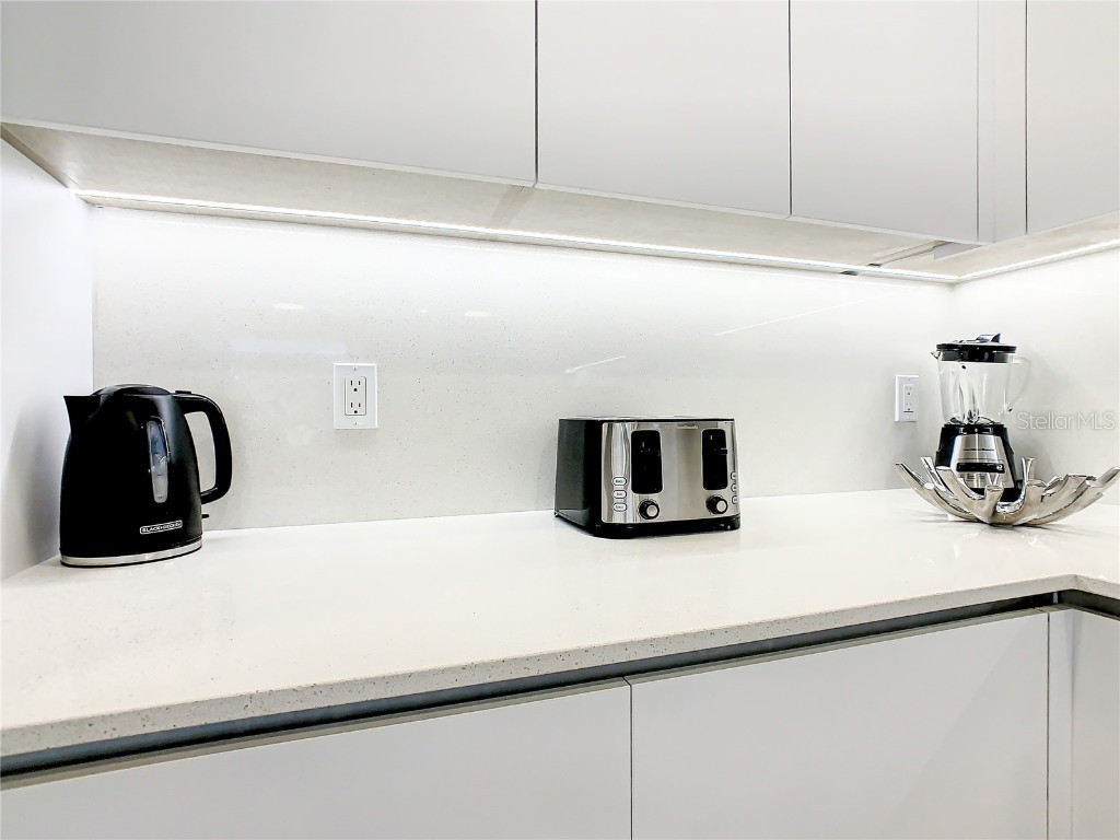 17230 Blessing Drive Clermont FL 34714 O6303333 image15