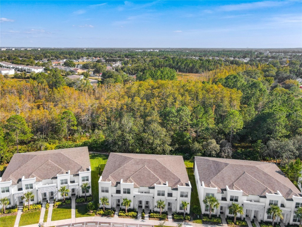 17230 Blessing Drive Clermont FL 34714 O6303333 image4