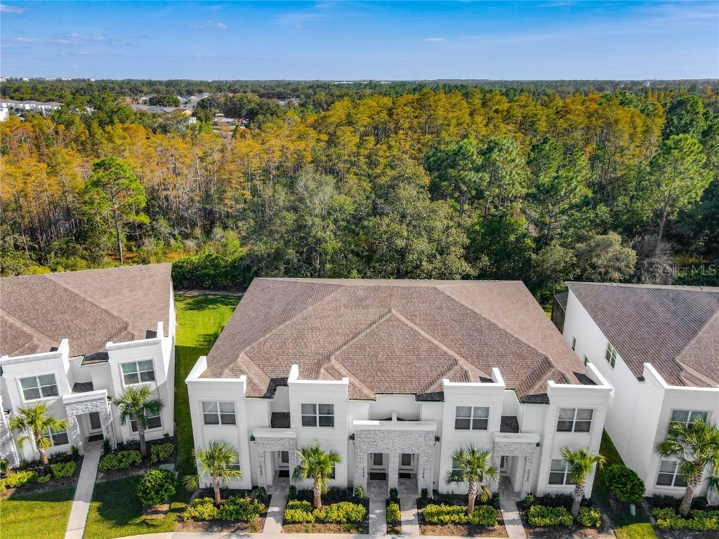 17230 Blessing Drive Clermont FL 34714 O6356166 image5