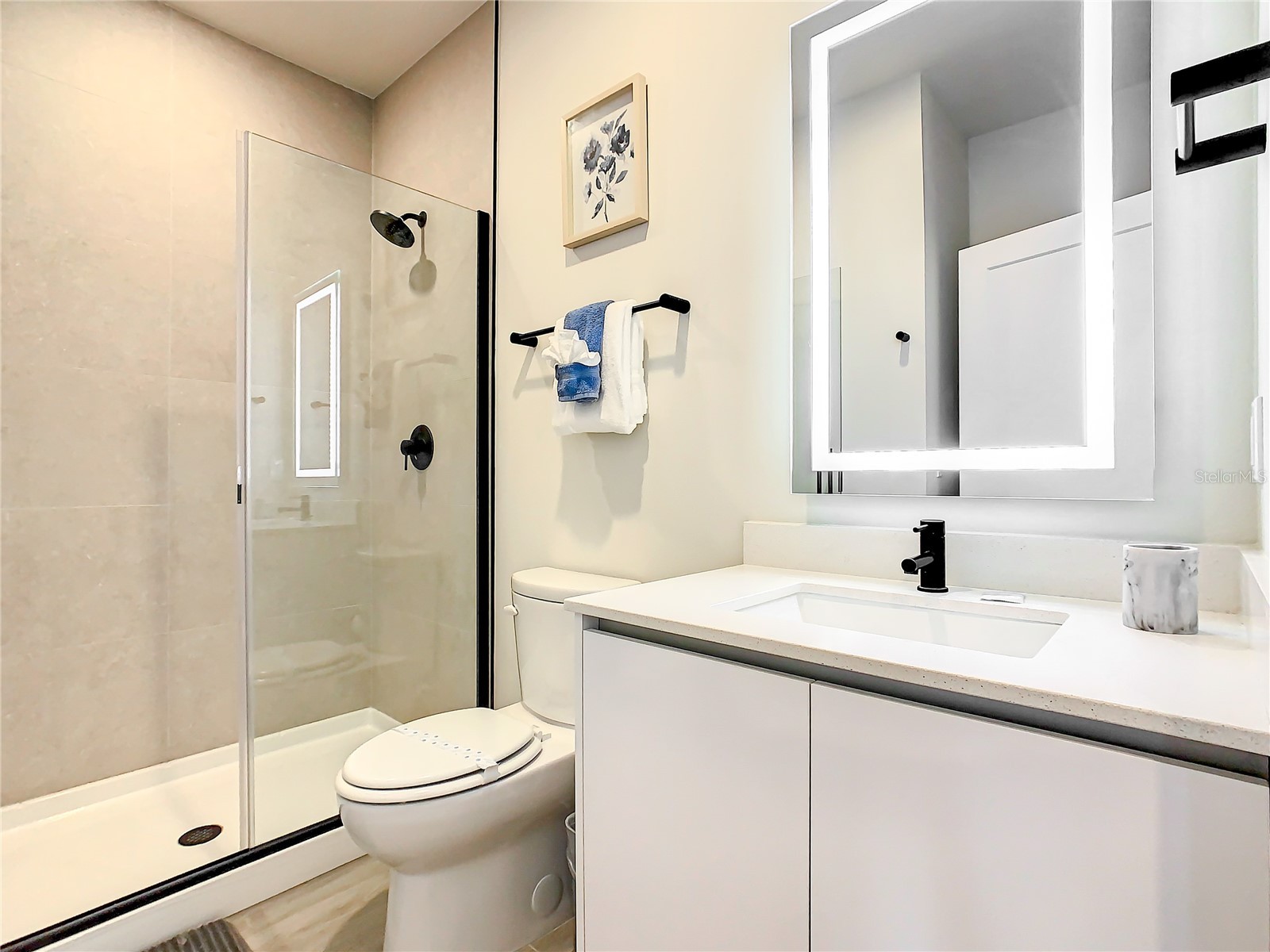 17230 Blessing Drive Clermont FL 34714 O6377475 image21