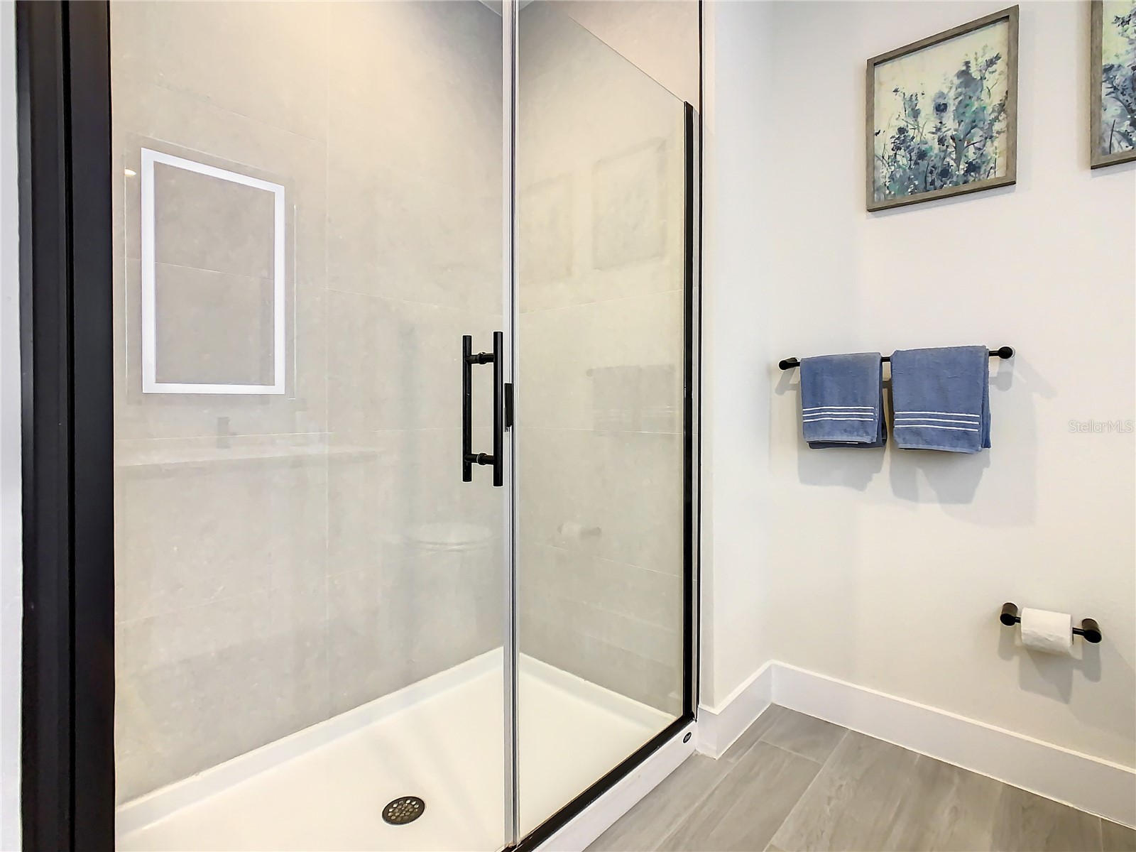 17230 Blessing Drive Clermont FL 34714 O6377475 image36