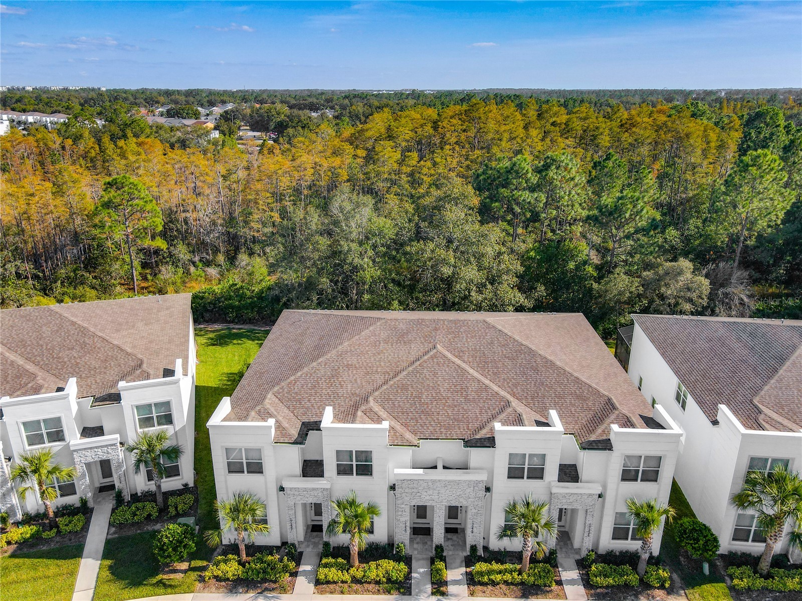 17230 Blessing Drive Clermont FL 34714 O6377475 image5