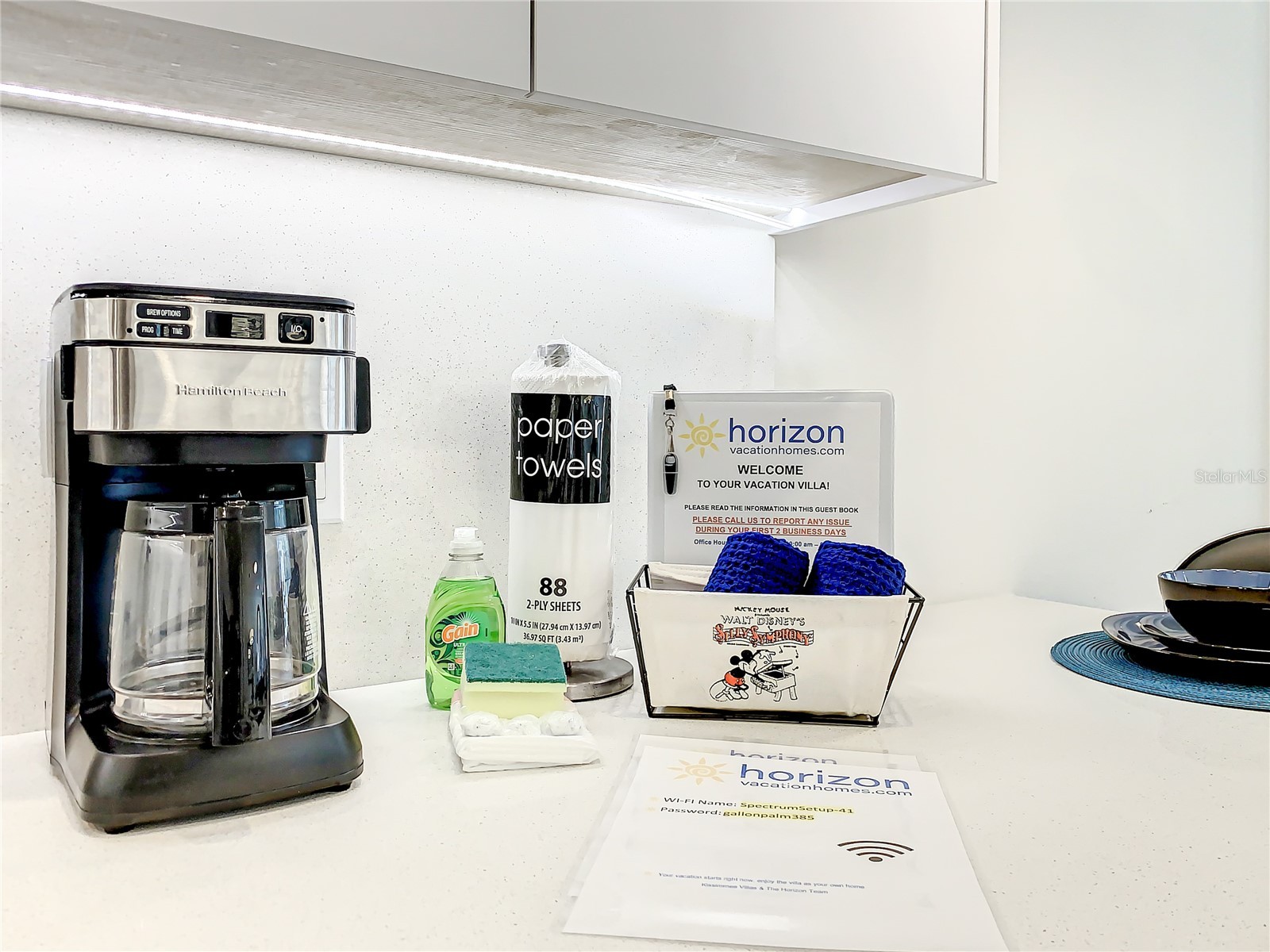 17230 Blessing Drive Clermont FL 34714 O6377475 image50