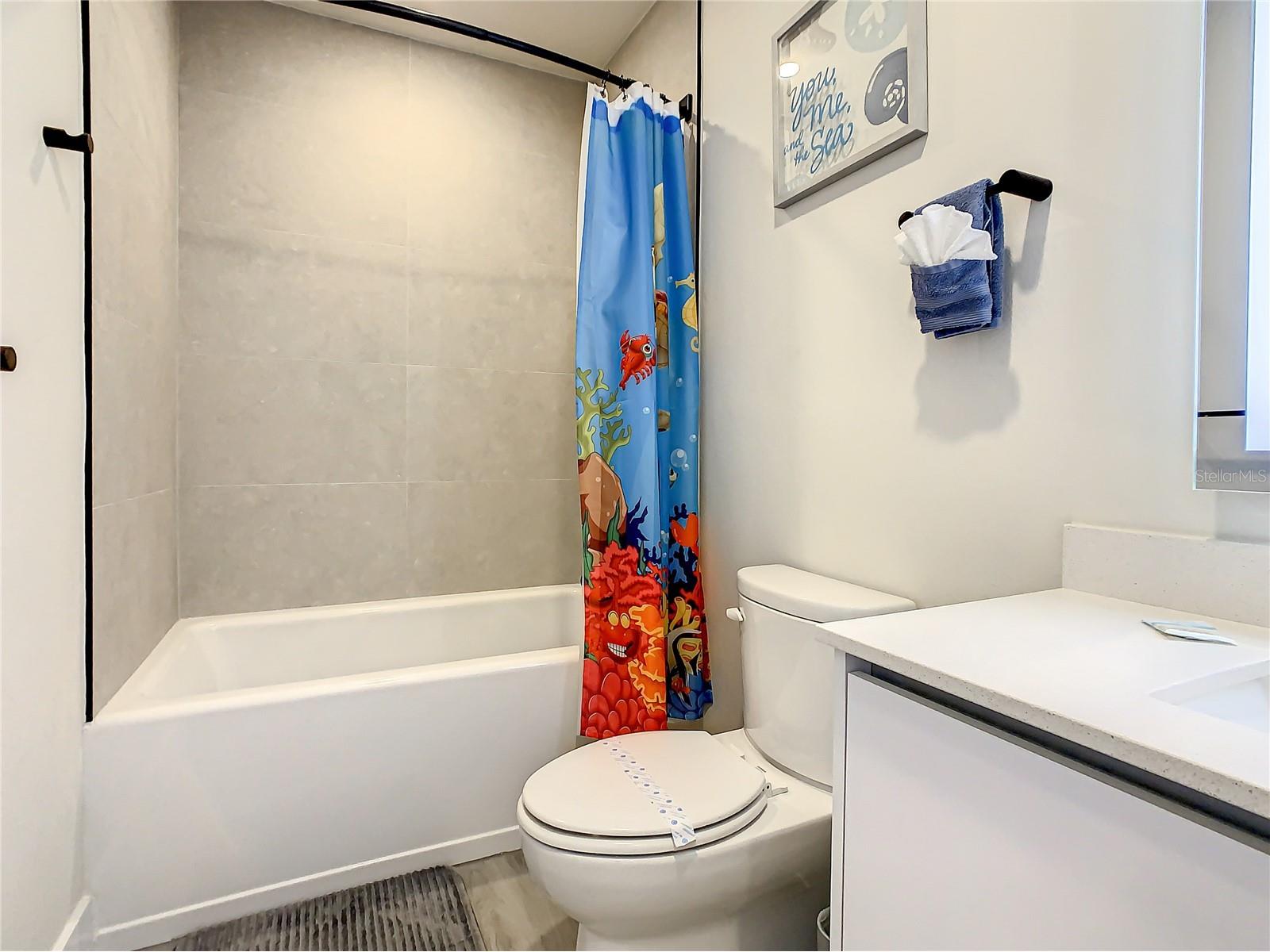 17230 Blessing Drive Clermont FL 34714 O6377475 image68