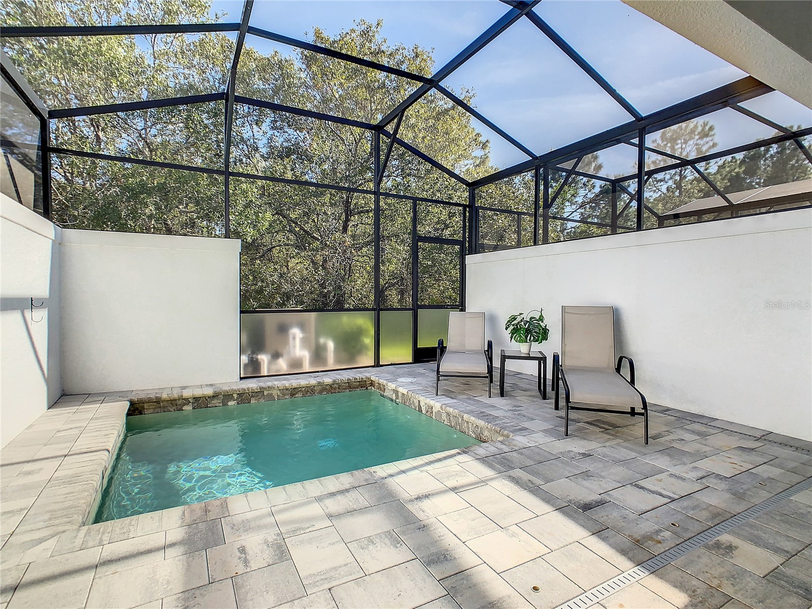 17230 Blessing Drive Clermont FL 34714 O6377475 image9