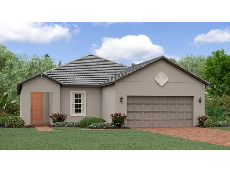 17230 Mango Shay Court Land O Lakes FL 34638 T3458851 image1