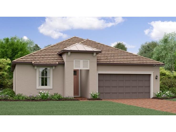 17231 Mango Shay Court Land O Lakes FL 34638 T3458861 image1