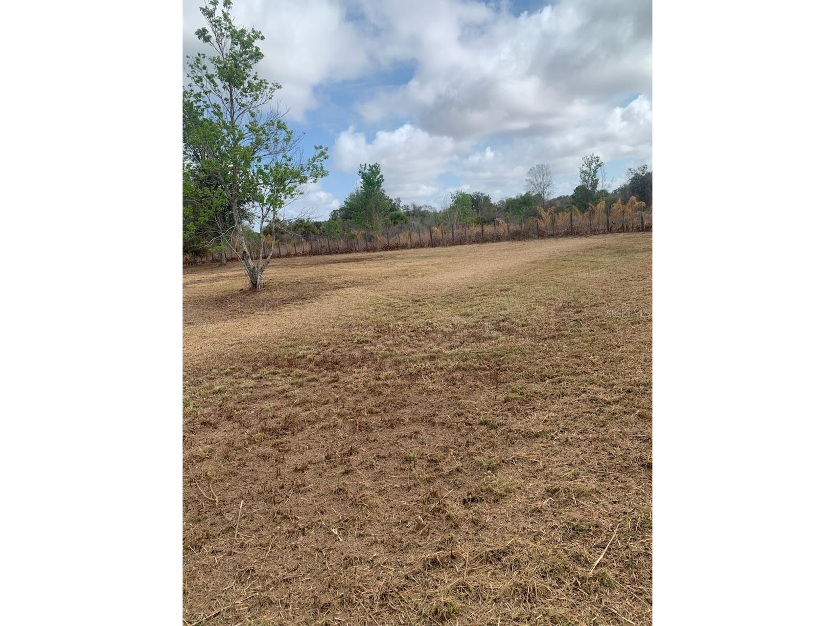 17231 NW 268th Street Okeechobee FL 34972 K4903326 image11