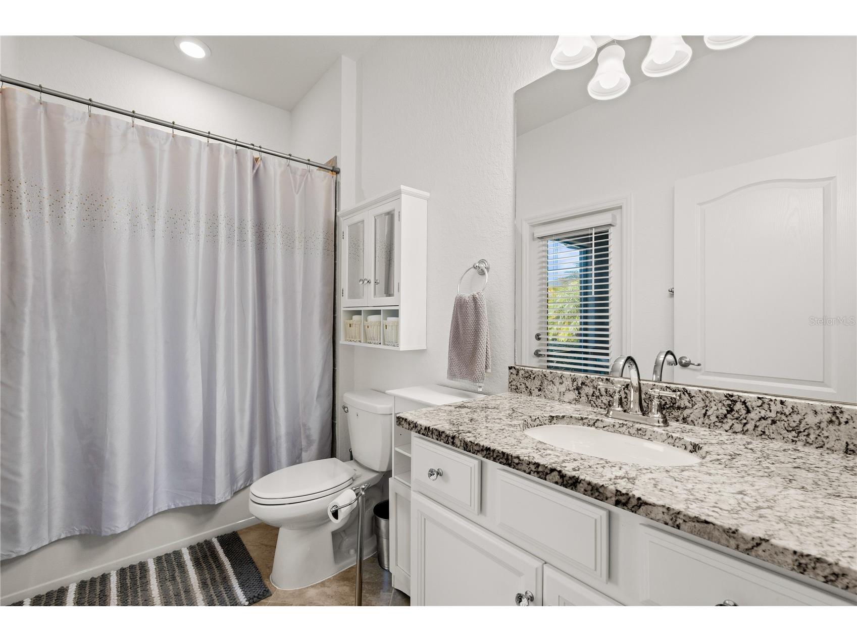 17233 Blue Ridge Place Lakewood Ranch FL 34211 A4681533 image38
