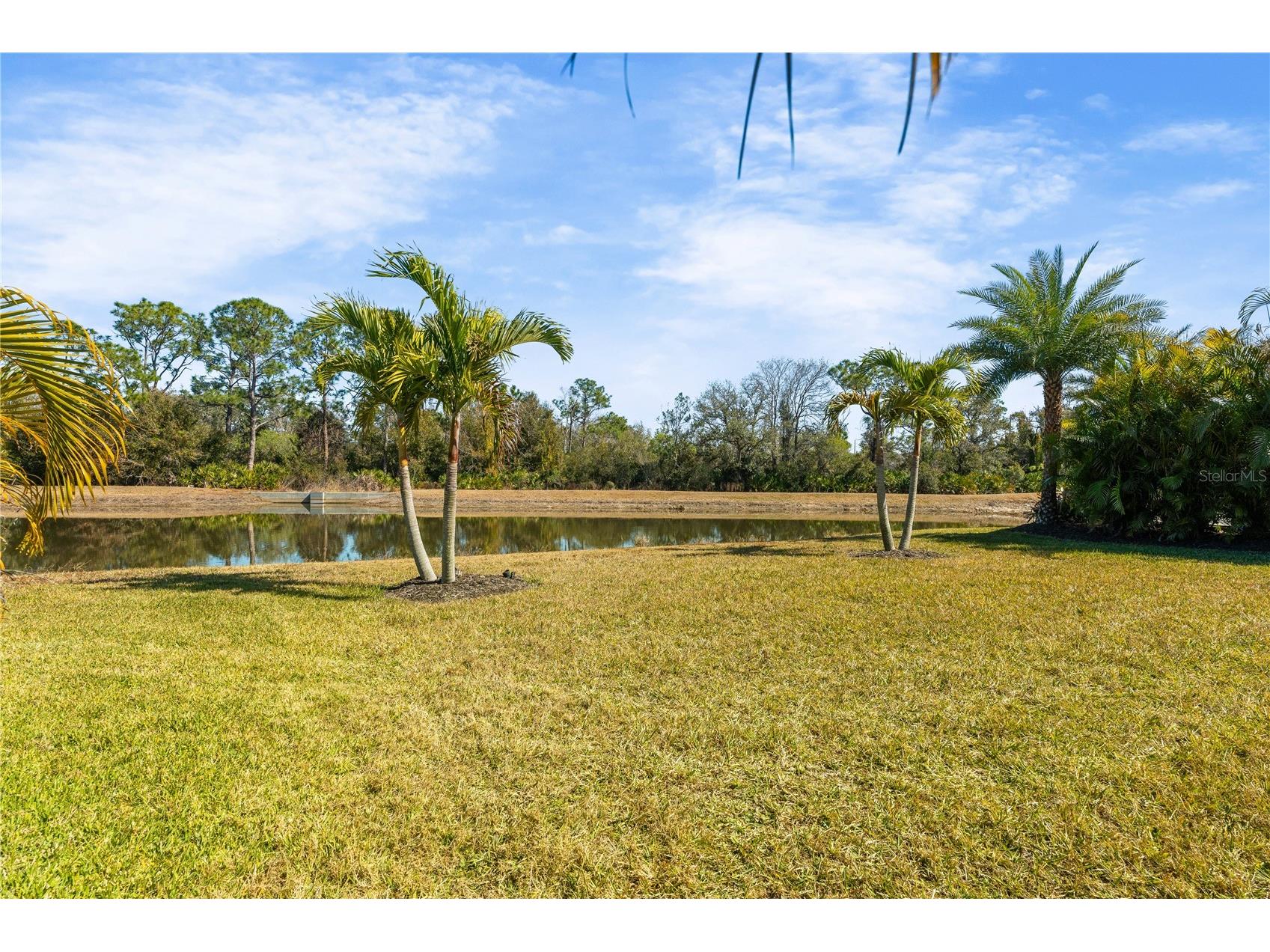 17233 Blue Ridge Place Lakewood Ranch FL 34211 A4681533 image49