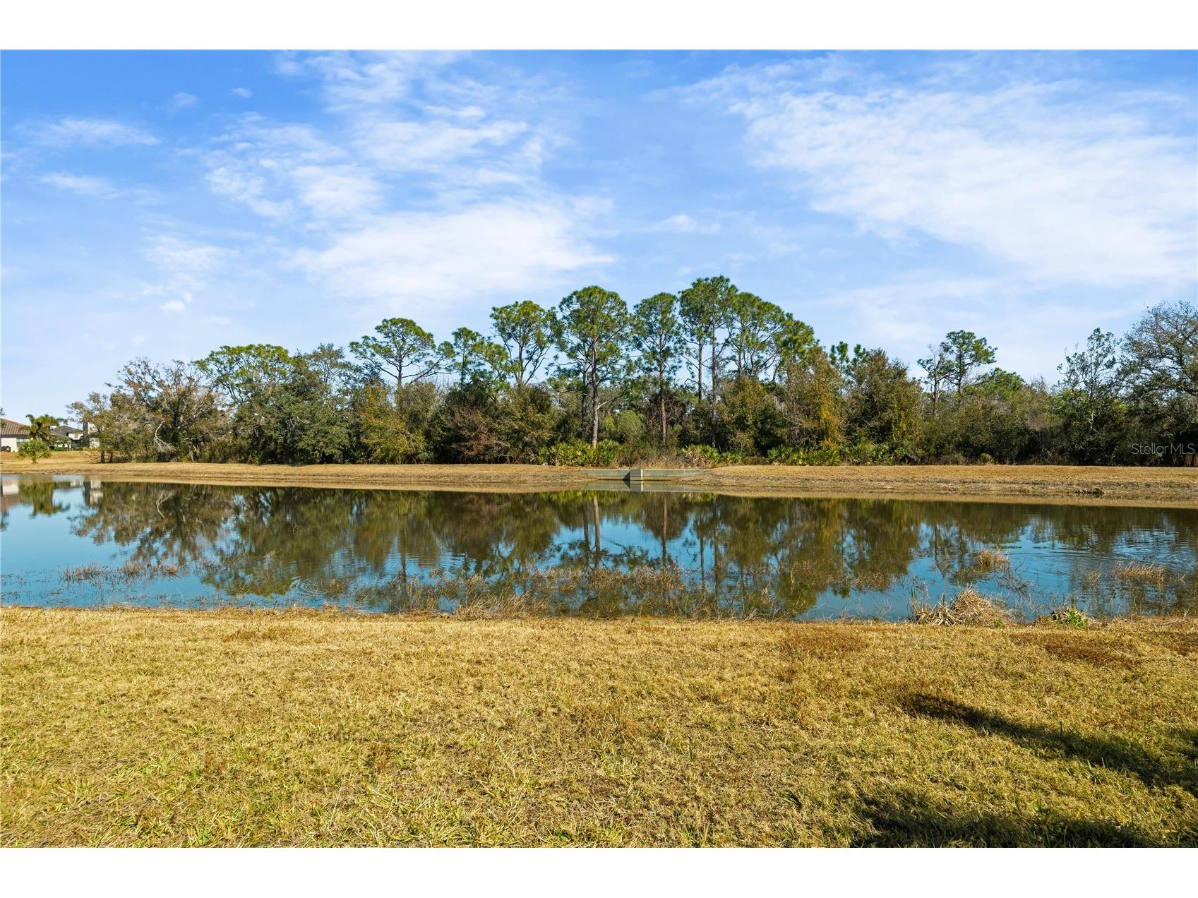17233 Blue Ridge Place Lakewood Ranch FL 34211 A4681533 image50