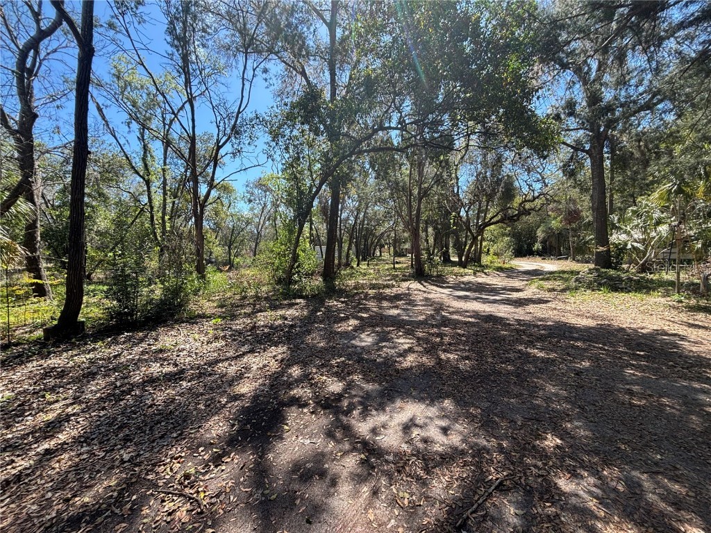 17233 Dalberg Drive Spring Hill FL 34610 TB8357162 image10