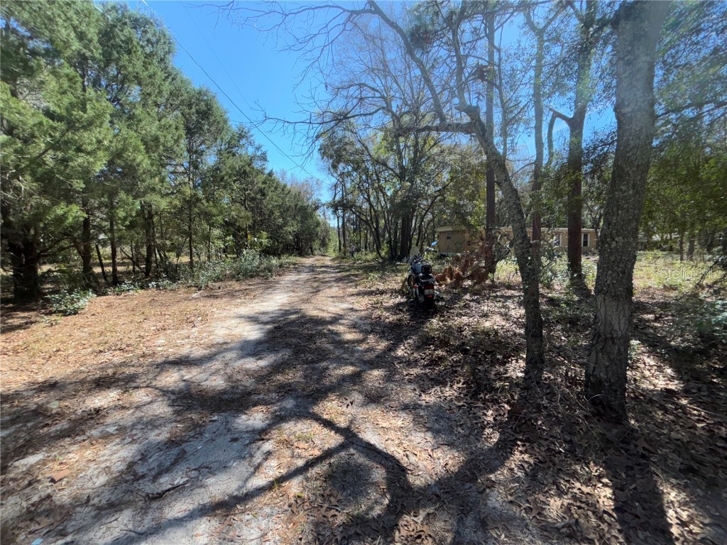 17233 Dalberg Drive Spring Hill FL 34610 TB8357162 image22