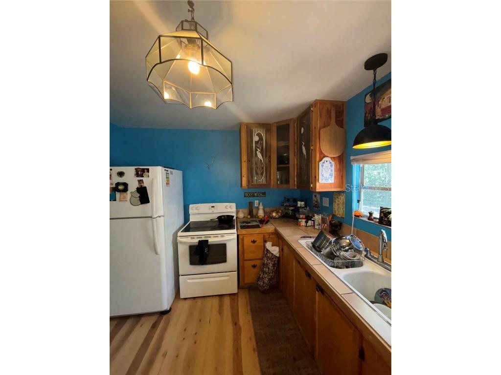 17233 Dalberg Drive Spring Hill FL 34610 TB8357162 image4