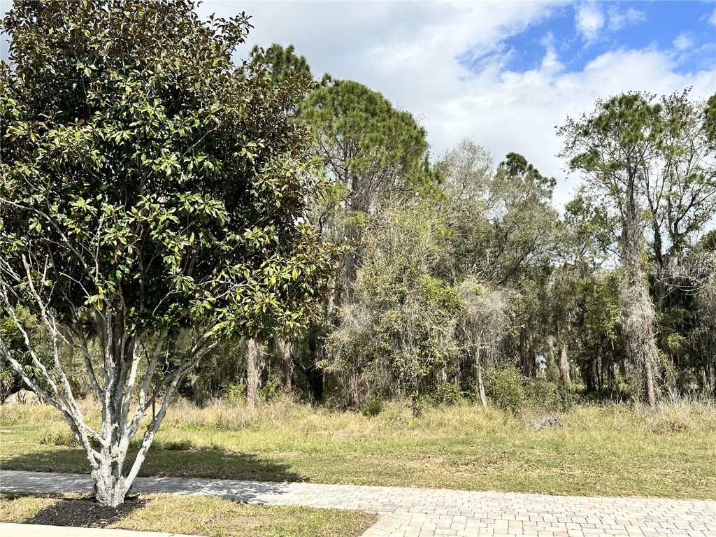 17233 Etruscan Lane Montverde FL 34756 - LAKE APOPKA G5092979 image6