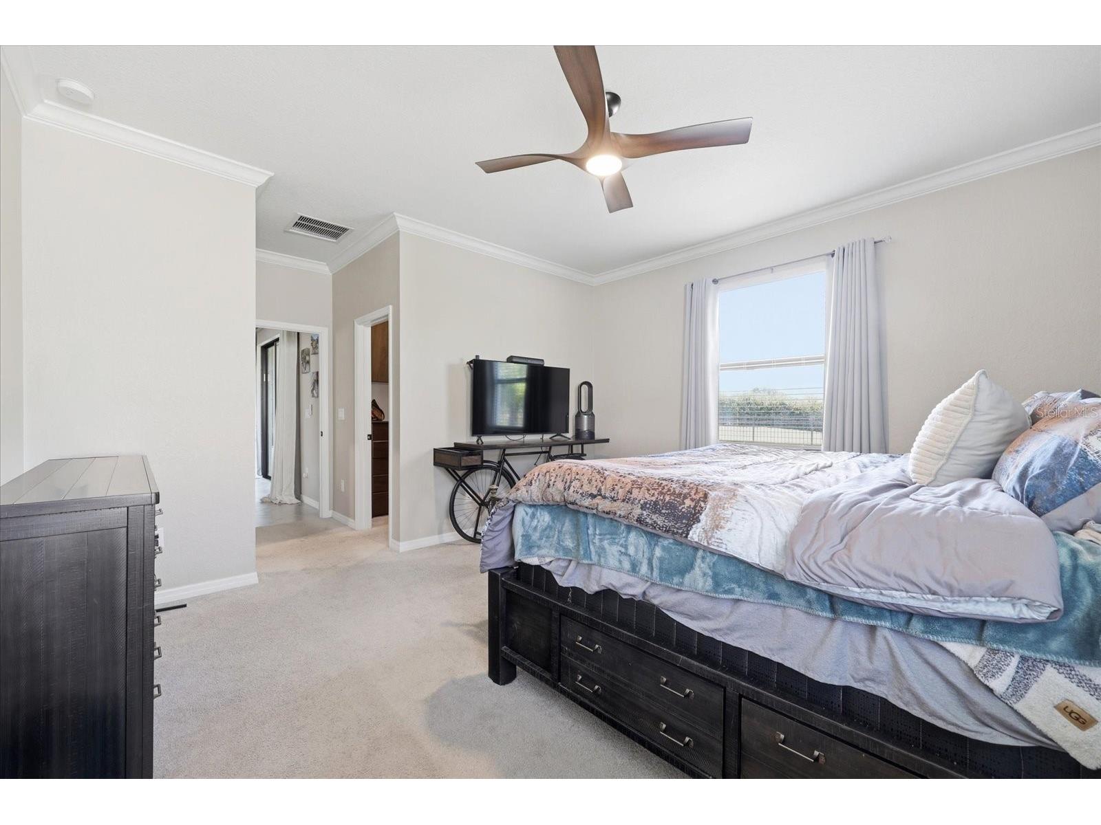 17234 Blue Ridge Place Bradenton FL 34211 N6144627 image20