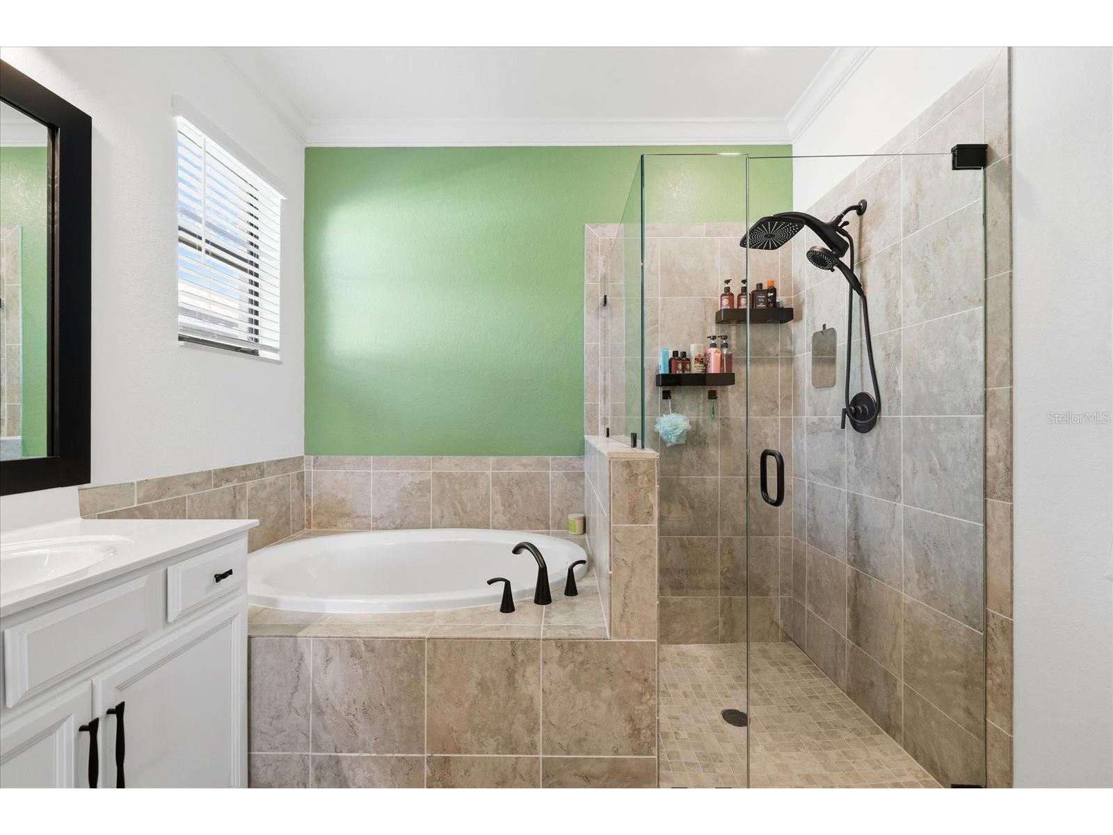 17234 Blue Ridge Place Bradenton FL 34211 N6144627 image23