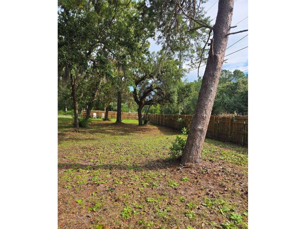 17236 Shady Hills Road Spring Hill FL 34610 W7880943 image4