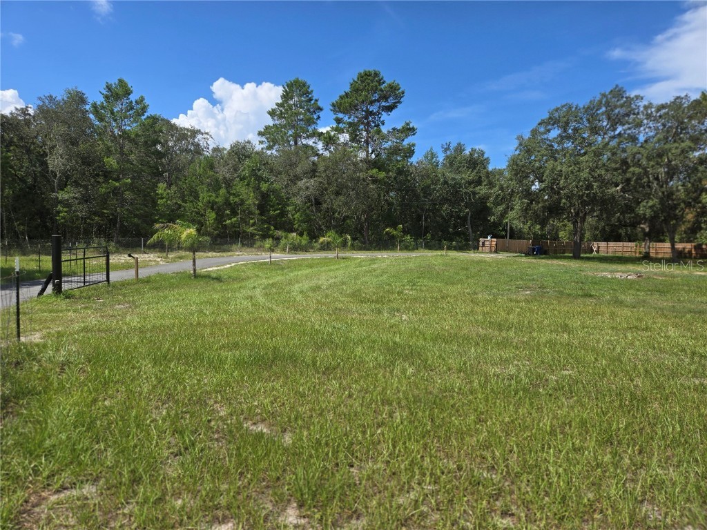 17236 Shady Hills Road Spring Hill FL 34610 W7880943 image5