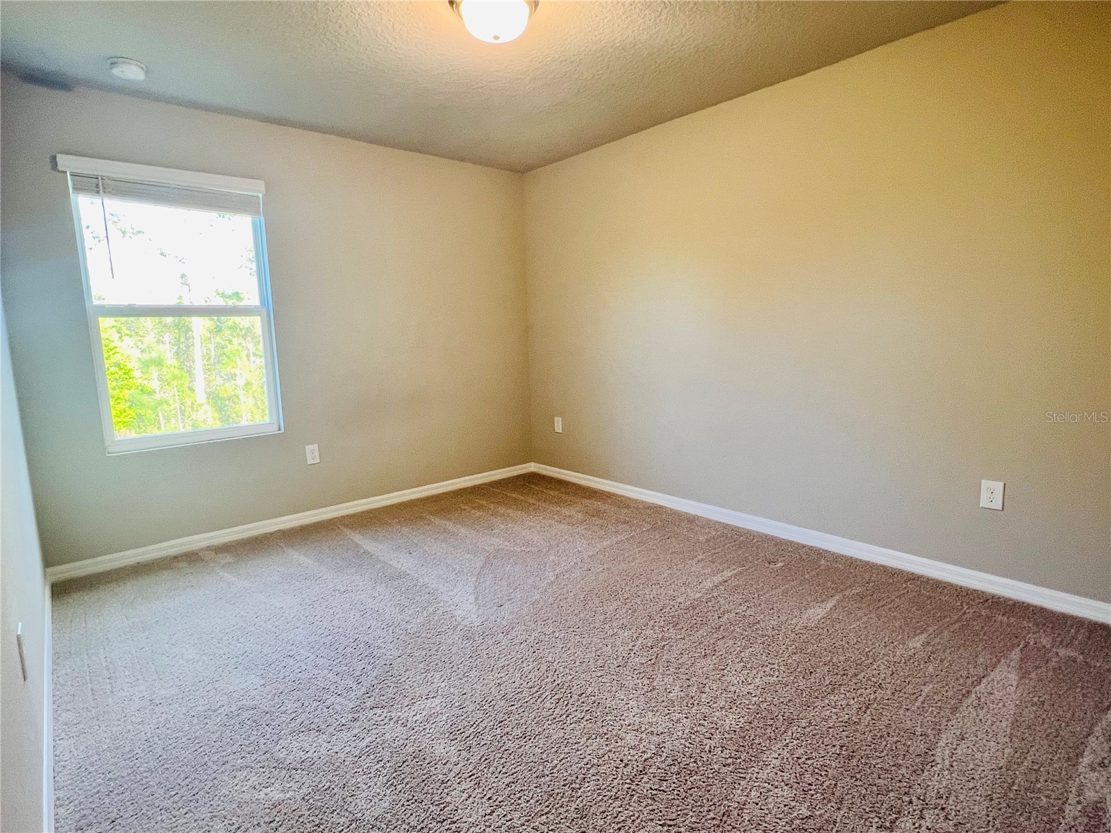 17237 Cagan Crossings Boulevard Clermont FL 34714 S5147847 image13
