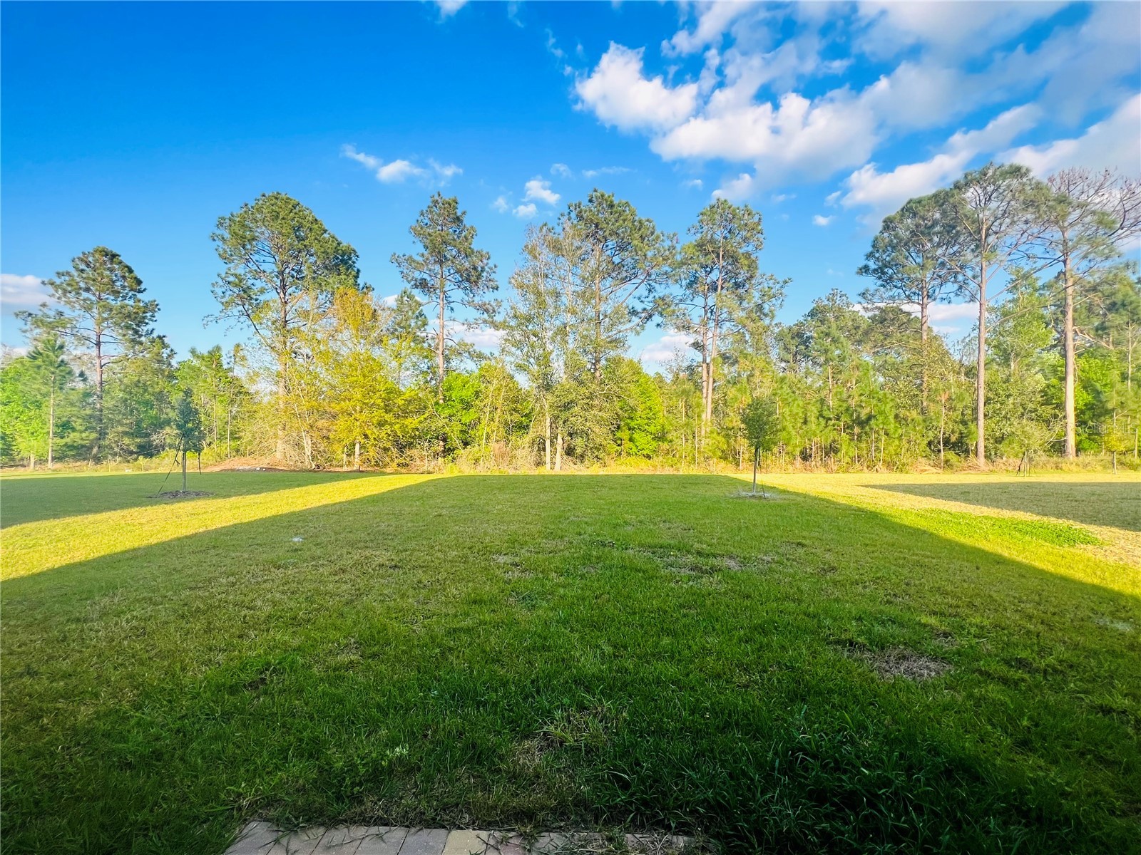 17237 Cagan Crossings Boulevard Clermont FL 34714 S5147847 image19