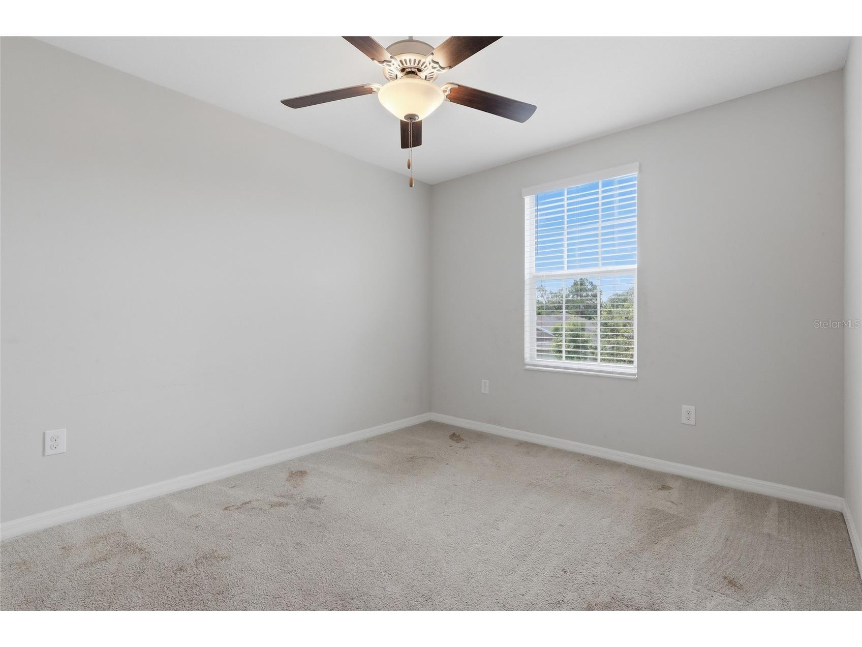 17237 White Mangrove Drive Wimauma FL 33598 TB8521692 image14