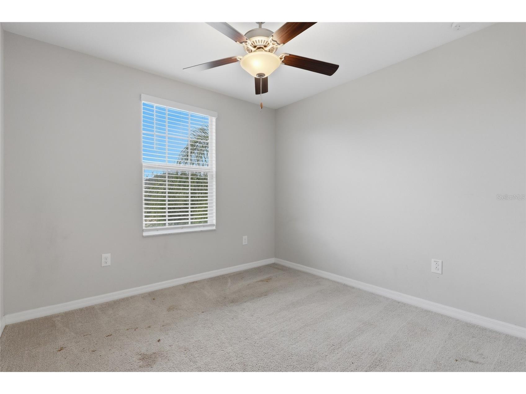 17237 White Mangrove Drive Wimauma FL 33598 TB8521692 image15