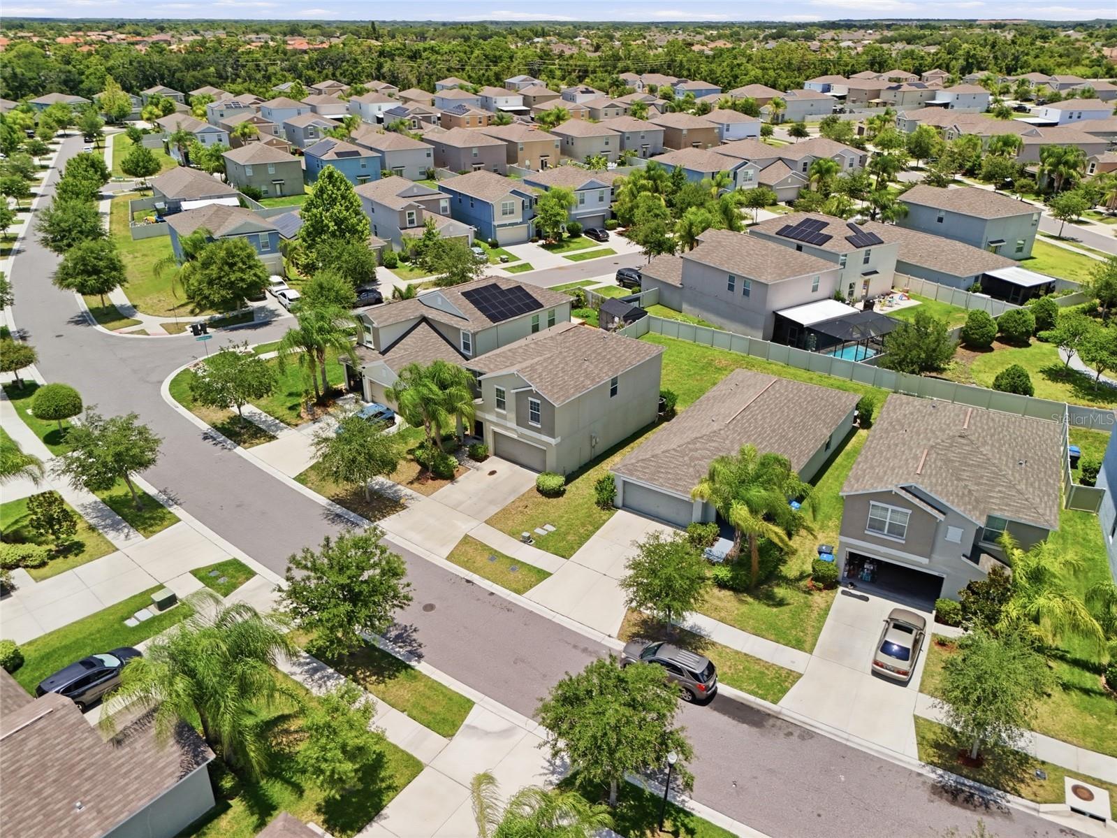 17237 White Mangrove Drive Wimauma FL 33598 TB8521692 image22