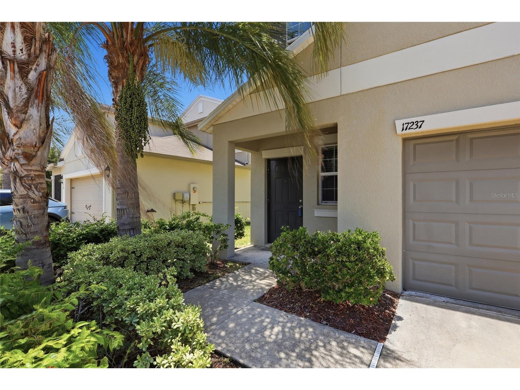 17237 White Mangrove Drive Wimauma FL 33598 TB8521692 image3