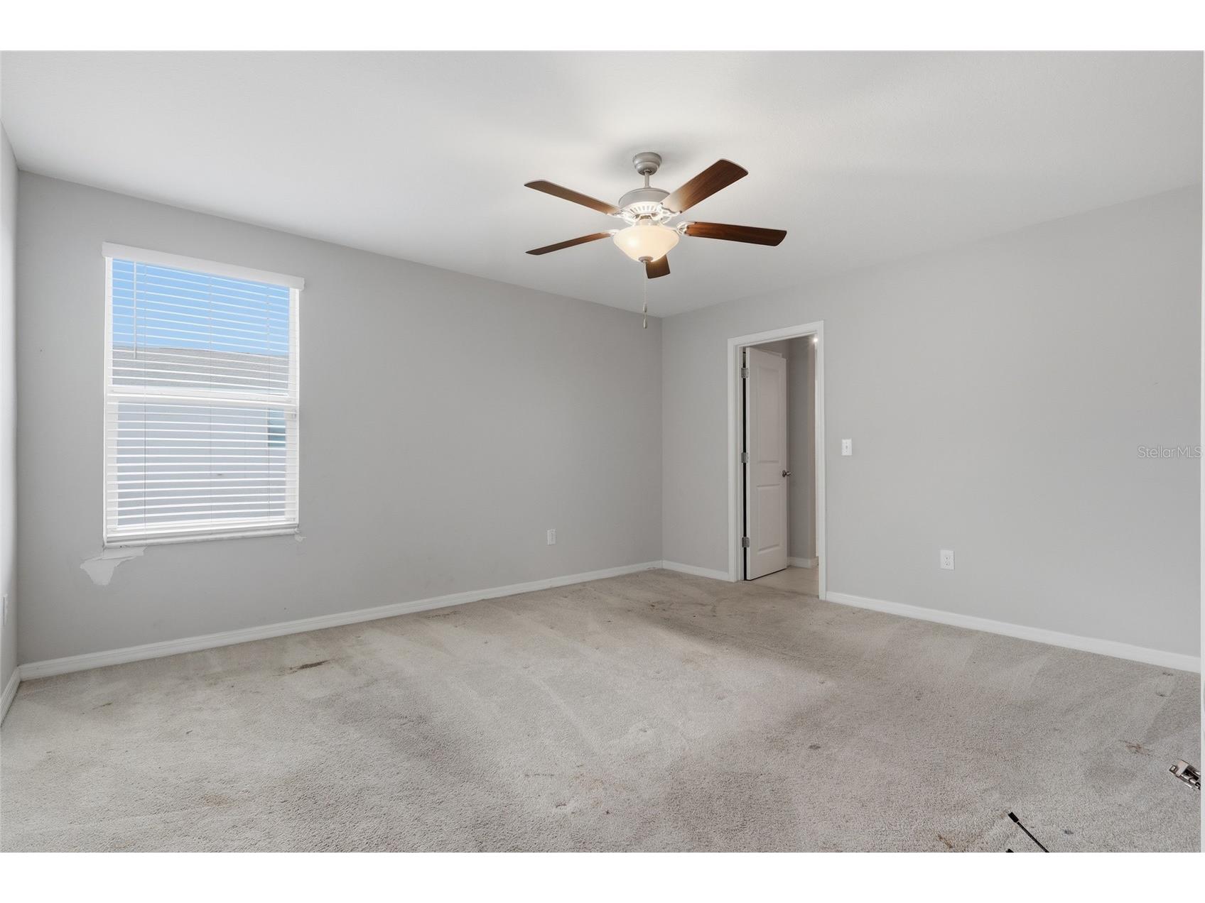 17237 White Mangrove Drive Wimauma FL 33598 TB8521692 image6