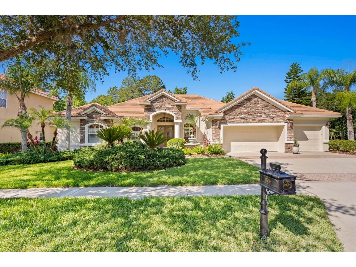 17238 Emerald Chase Drive Tampa FL 33647 T3527929 image1