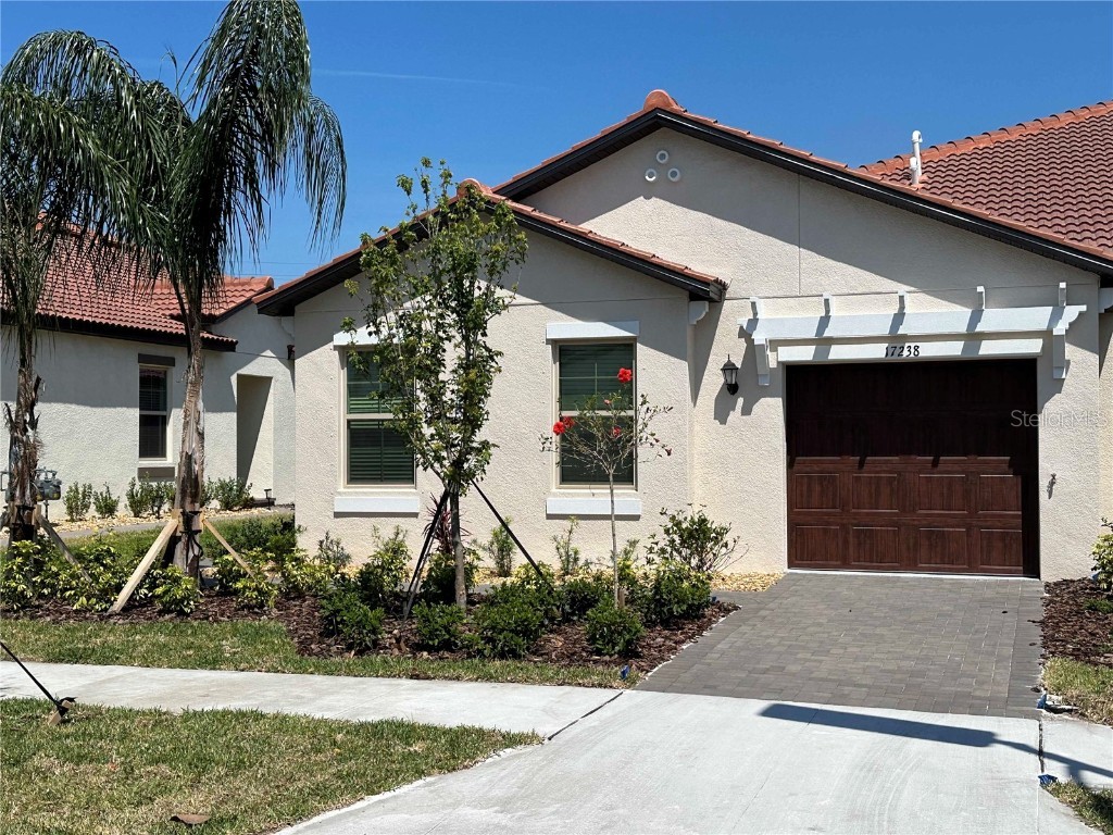 17238 Holly Well Avenue Wimauma FL 33598 T3519730 image1