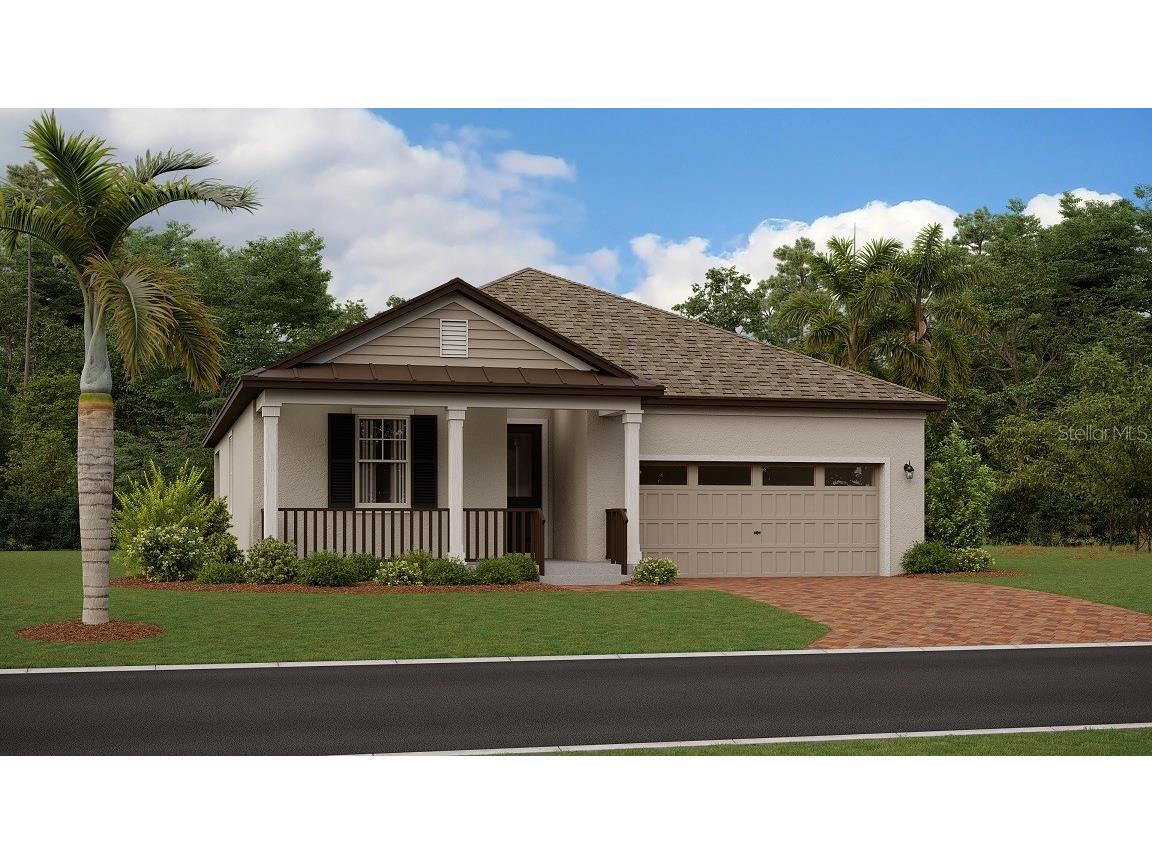 17238 Mango Shay Court Land O Lakes FL 34638 T3459503 image1