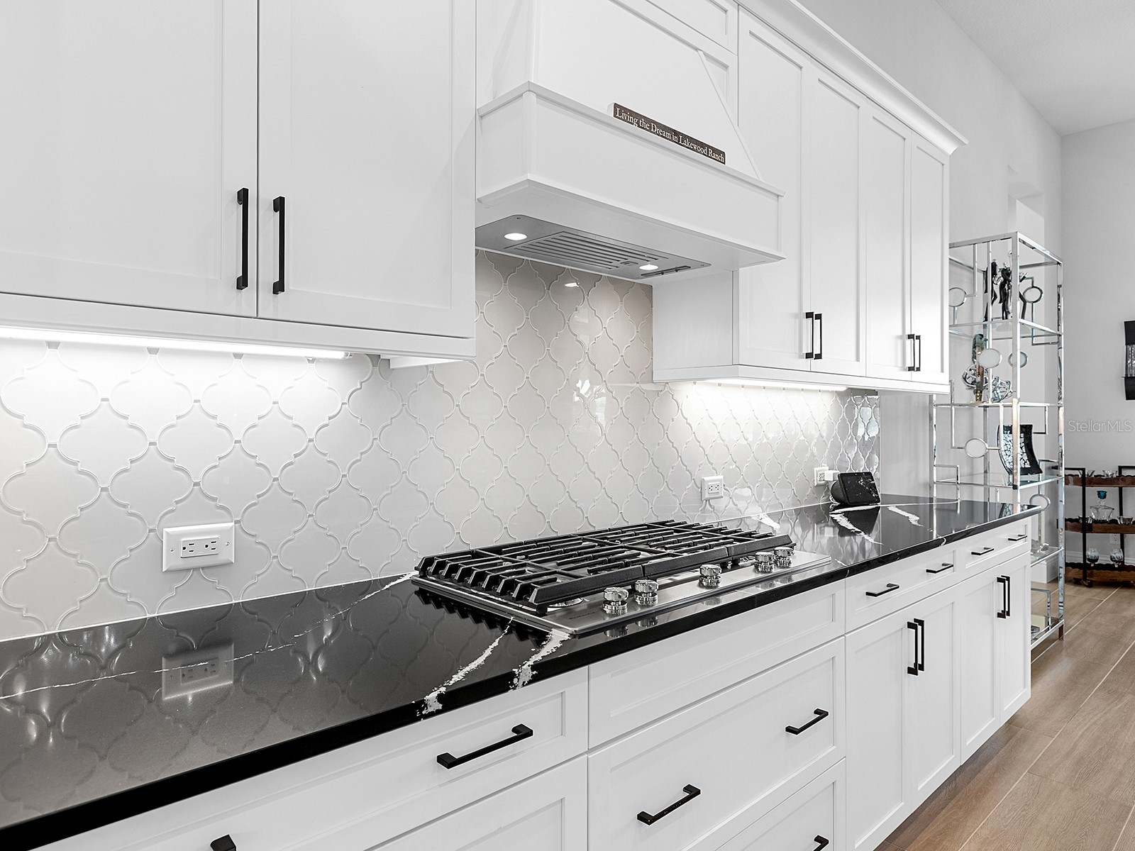 17238 Salerno Drive Lakewood Ranch FL 34202 A4685424 image22