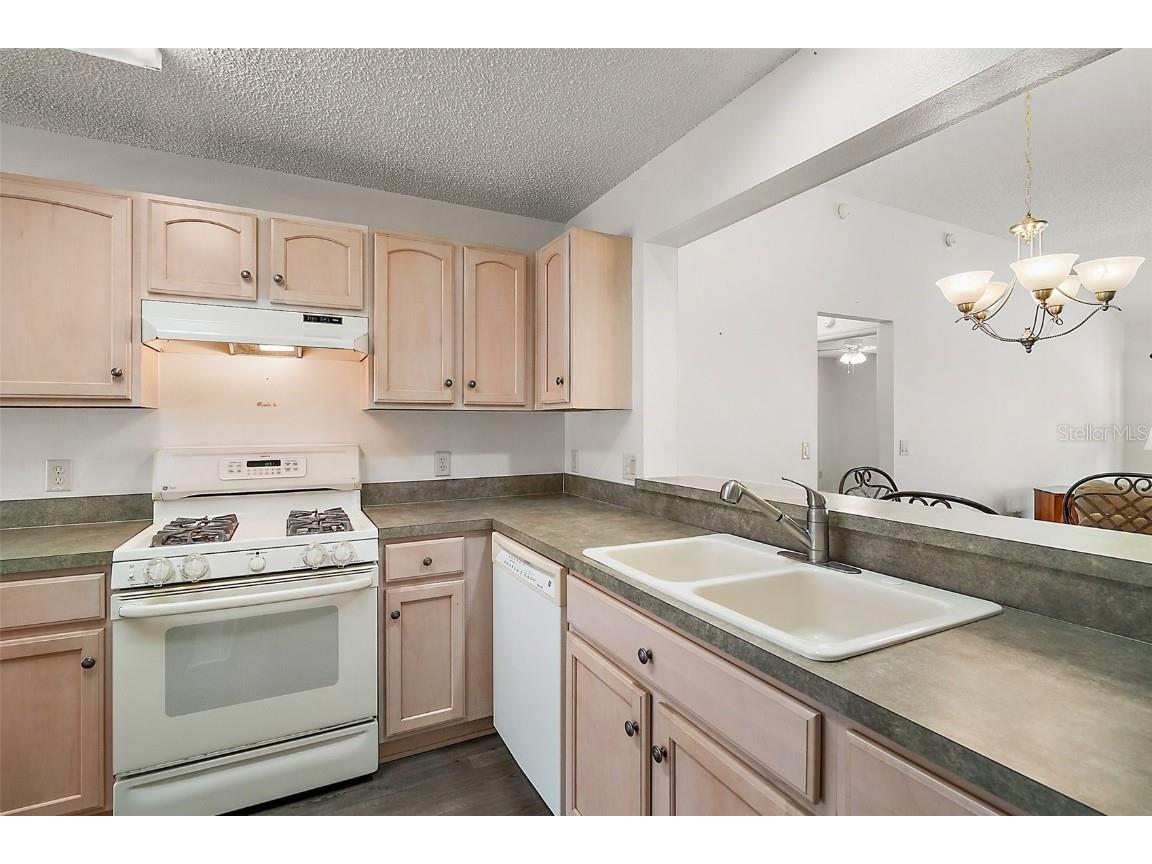 17238 SE 94th Coults Circle The Villages FL 32162 G5095911 image11