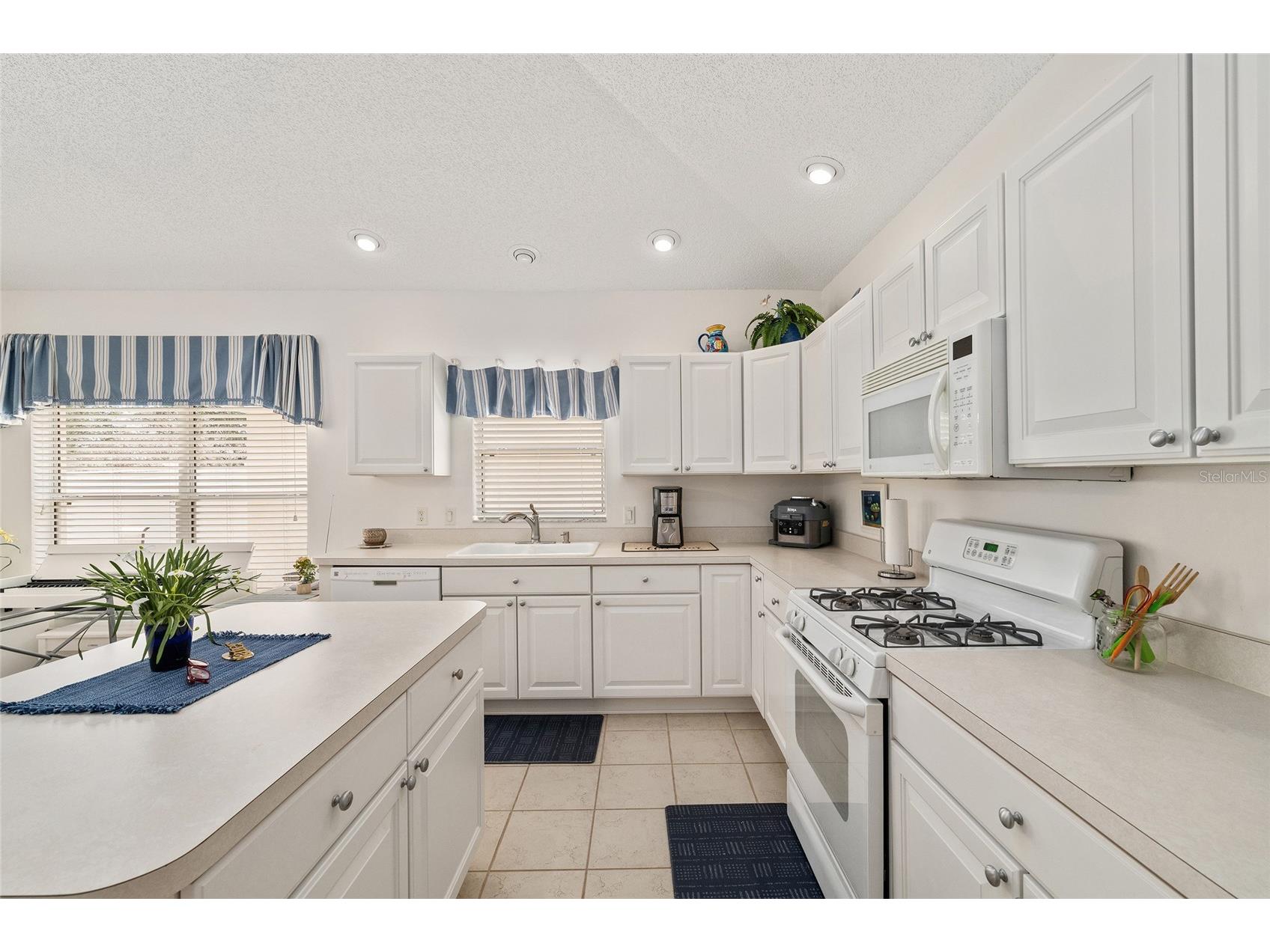 17239 SE 84th Knight Avenue The Villages FL 32162 - LAKE BROOKS O6422516 image8