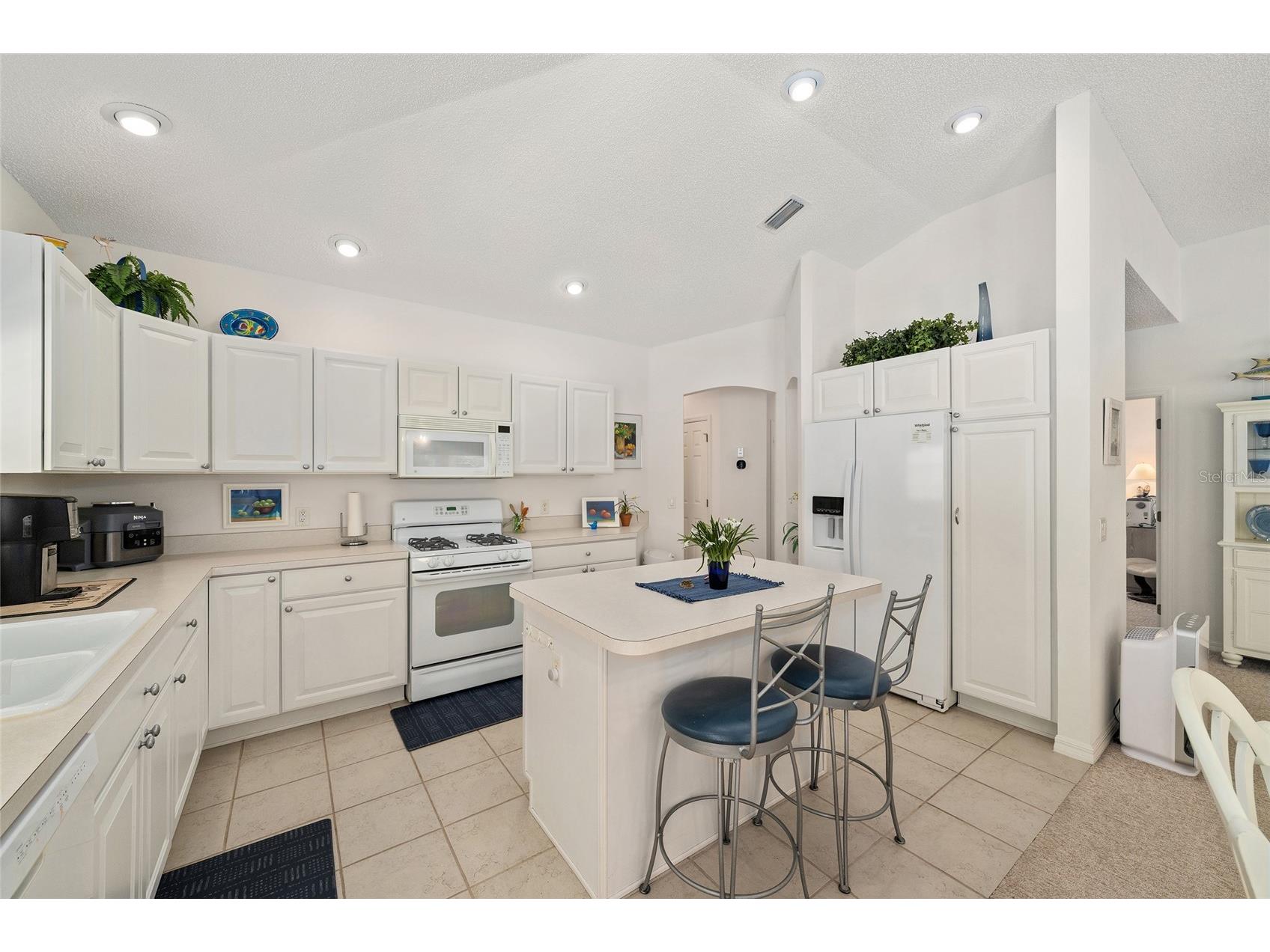 17239 SE 84th Knight Avenue The Villages FL 32162 - LAKE BROOKS O6422516 image9