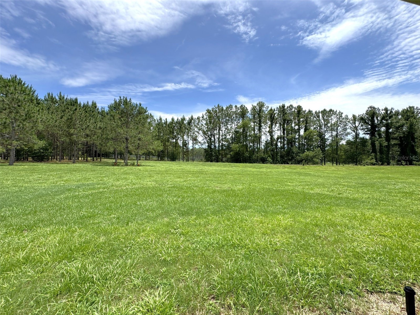 1724 E Gate Dancer Circle Inverness FL 34453 OM725947 image28