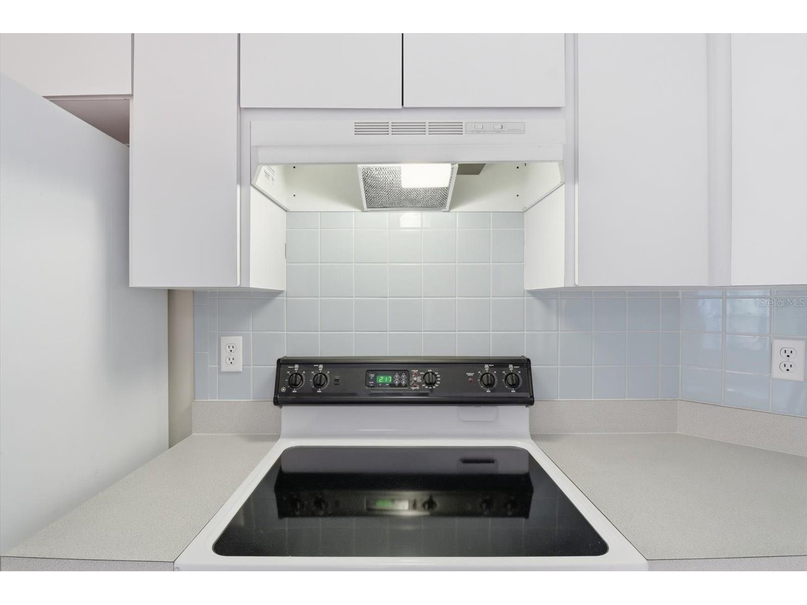 1724 E Mckinley Street Hernando FL 34442 TB8469705 image23