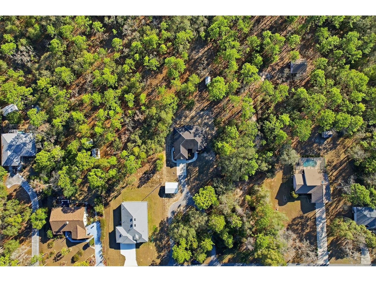 1724 E Mckinley Street Hernando FL 34442 TB8469705 image47