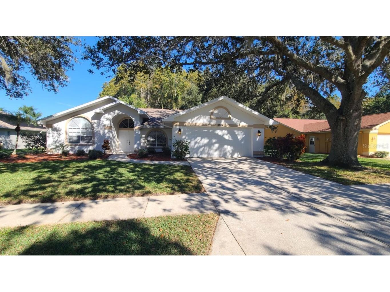 1724 Percheron Drive Trinity FL 34655 U8219527 image1