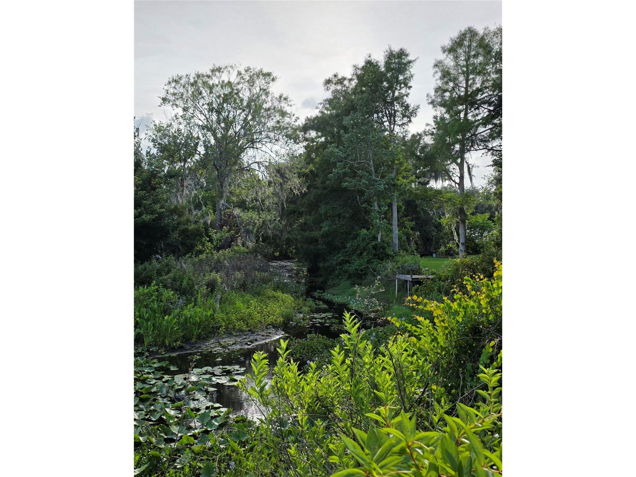 1724 SE 164th Circle Ocklawaha FL 32179 G5112964 image36