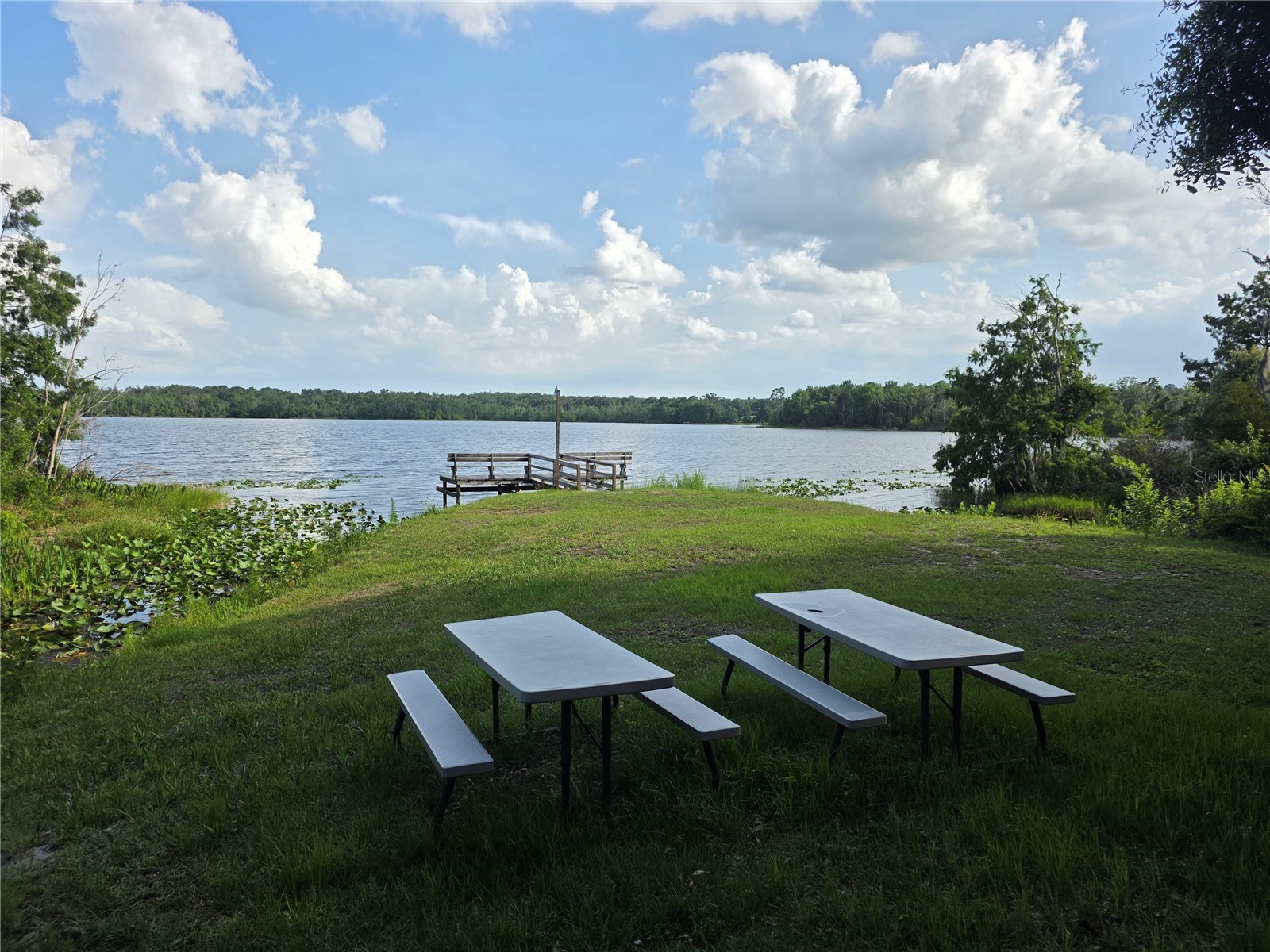 1724 SE 164th Circle Ocklawaha FL 32179 G5112964 image51