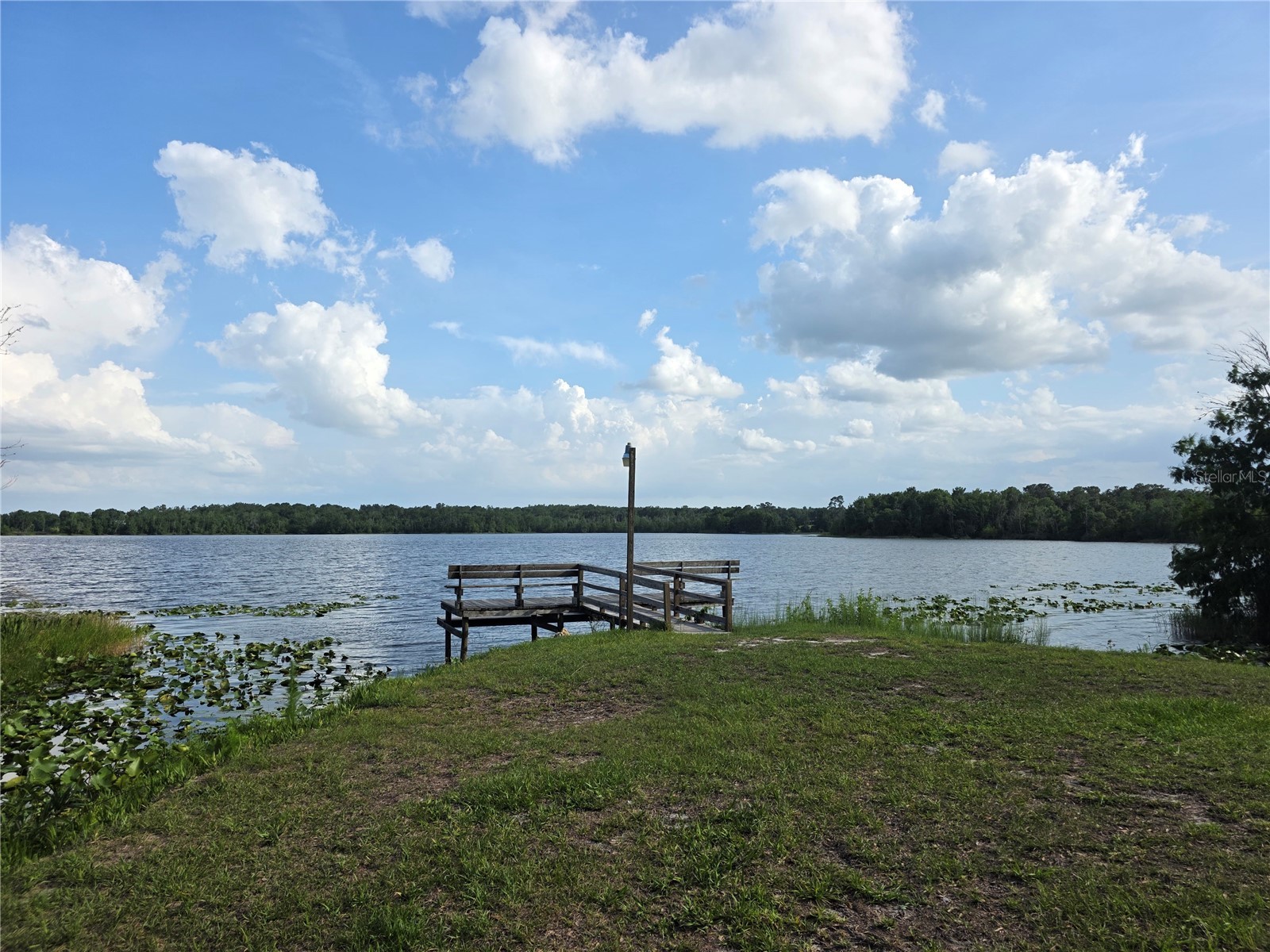 1724 SE 164th Circle Ocklawaha FL 32179 G5112964 image52
