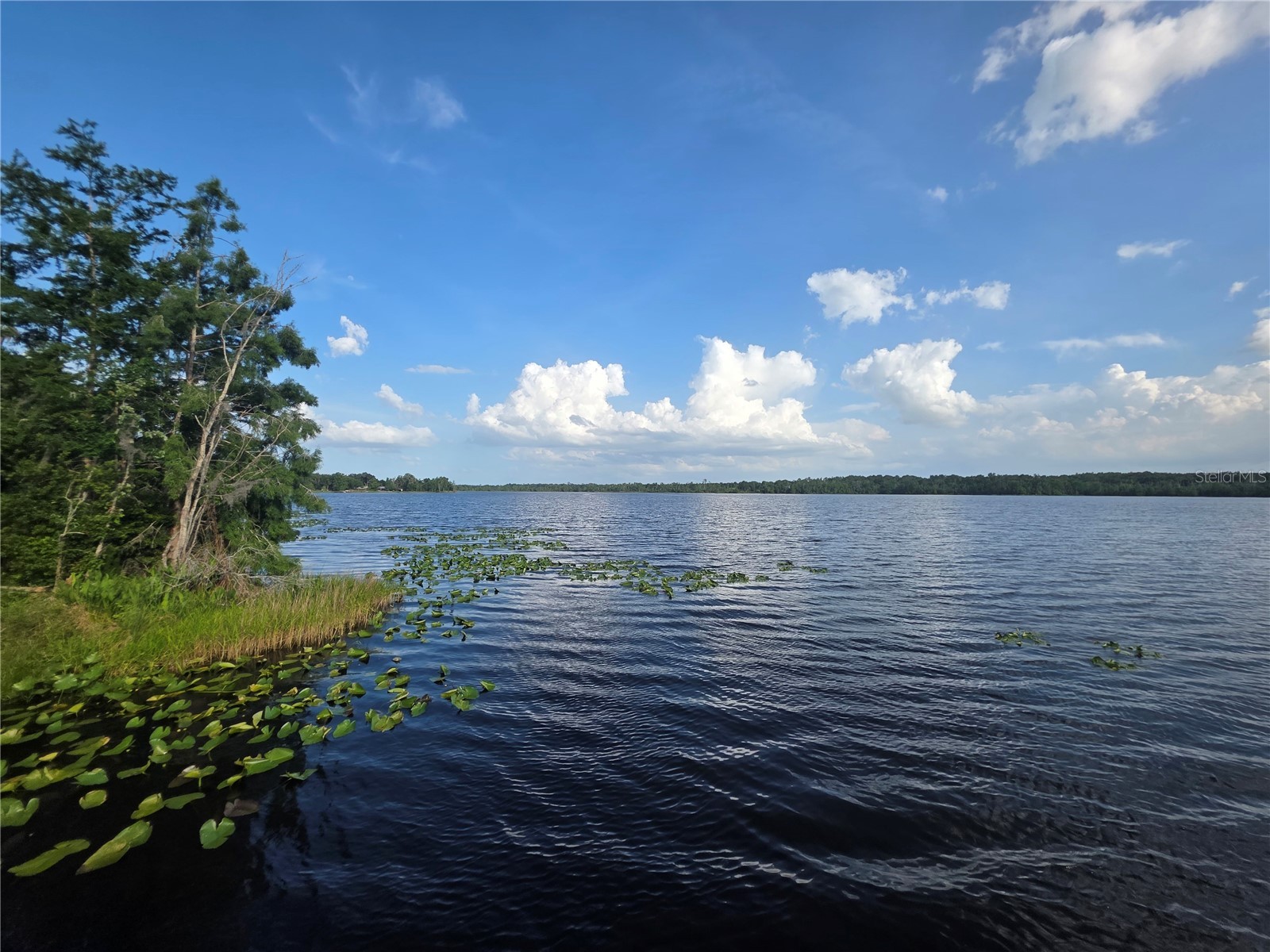 1724 SE 164th Circle Ocklawaha FL 32179 G5112964 image53